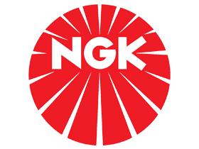 NGK 4281 - 