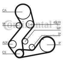 Continental CT901 - KIT 2 CORREAS CT882 Y CT883