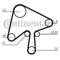 Continental CT1136K1 - KIT DISTRIBUCION