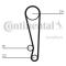 Continental CT1024 - CONTI SYNCHROBELT CORREA DE DISTRIB