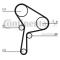Continental CT1025K1 - CONTI SYNCHROBELT KIT DE DISTRIBUCI