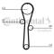 Continental CT1045 - CONTI SYNCHROBELT CORREA DE DISTRIB