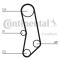 Continental CT503 - CONTI SYNCHROBELT CORREA DE DISTRIB