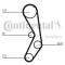Continental CT605K1 - CONTI SYNCHROBELT KIT DE DISTRIBUCI