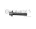 Continental CT975WP2 - CONTI SYNCHROBELT KIT WAPU CON BOMB