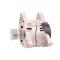 Lucas LRA01721 - ALTERNADOR